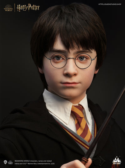 Harry Potter Life-Size Bust