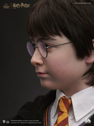 Harry Potter Life-Size Bust