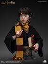 Harry Potter Life-Size Bust