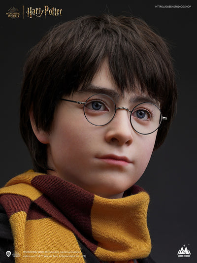 Harry Potter Life-Size Bust