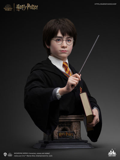 Harry Potter Life-Size Bust