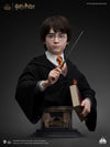 Harry Potter Life-Size Bust