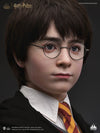 Harry Potter Life-Size Bust