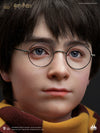 Harry Potter Life-Size Bust