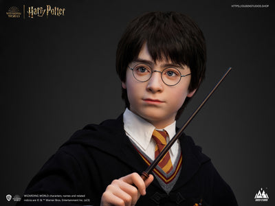 Harry Potter Life-Size Bust