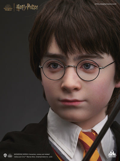 Harry Potter Life-Size Bust