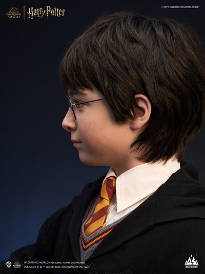 Harry Potter Life-Size Bust