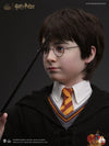 Harry Potter Life-Size Bust