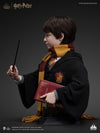 Harry Potter Life-Size Bust