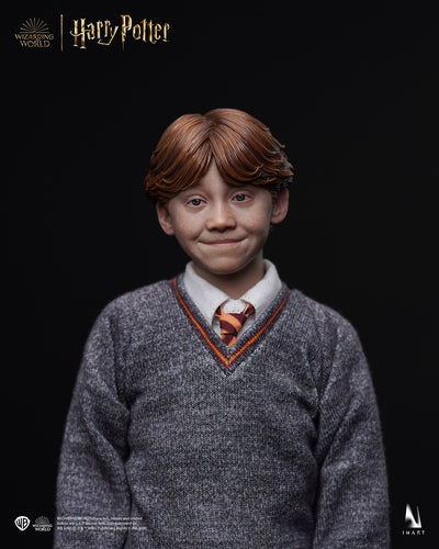 Harry Potter - Ron Weasley Deluxe InArt 1/6 Scale Figure