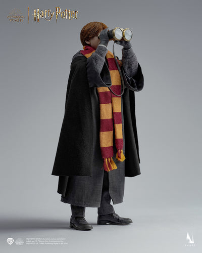 Harry Potter - Ron Weasley Deluxe InArt 1/6 Scale Figure