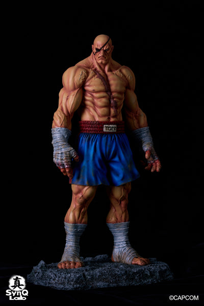 Sagat 1/6 Scale Statue