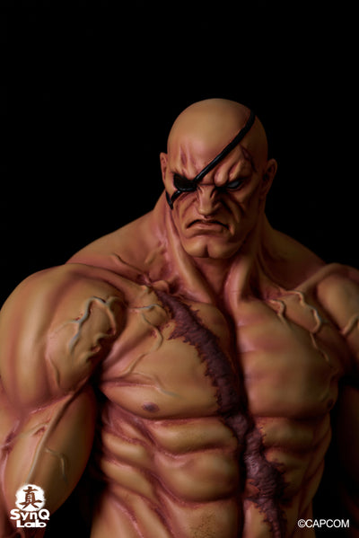 Sagat 1/6 Scale Statue