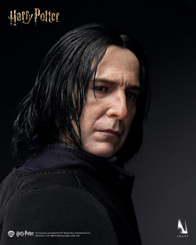 Harry Potter - Severus Snape InArt 1/6 Scale Figure