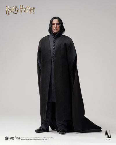 Harry Potter - Severus Snape InArt 1/6 Scale Figure