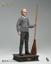 Harry Potter - Draco Malfoy (Deluxe) InArt 1/6 Scale Figure