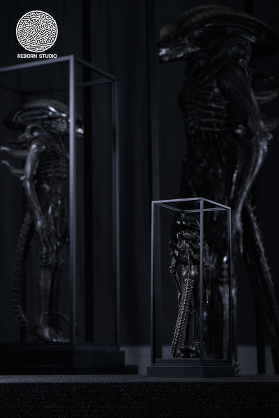 Alien - Xenomorph 1/8 Scale Statue by Reborn Studio