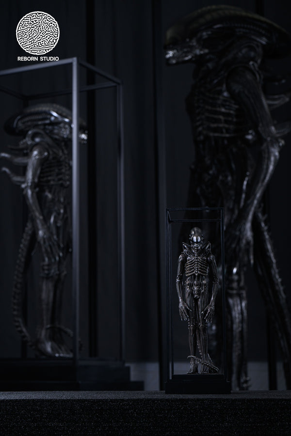 Alien - Xenomorph 1/8 Scale Statue by Reborn Studio - Spec Fiction Shop