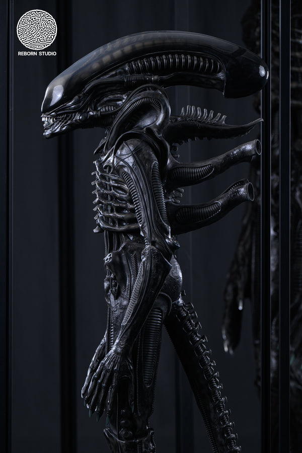 Alien - Xenomorph 1/2 Scale Statue by Reborn Studio - Spec Fiction Shop