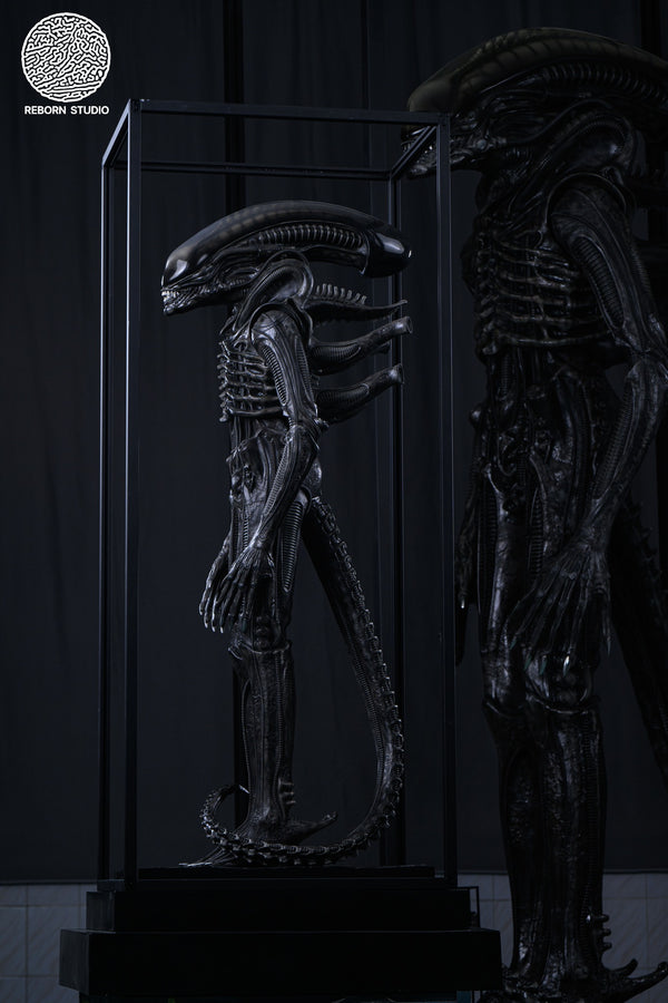 Alien - Xenomorph 1/2 Scale Statue by Reborn Studio - Spec Fiction Shop