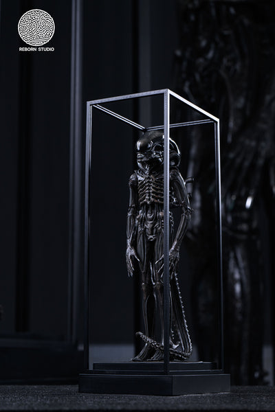 Alien - Xenomorph 1/8 Scale Statue by Reborn Studio