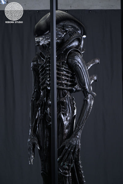 Alien - Xenomorph Life-Size Statue by Reborn Studio