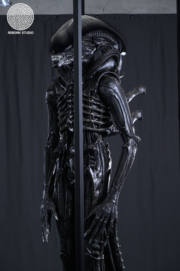 Alien - Xenomorph Life-Size Statue by Reborn Studio - Spec Fiction Shop