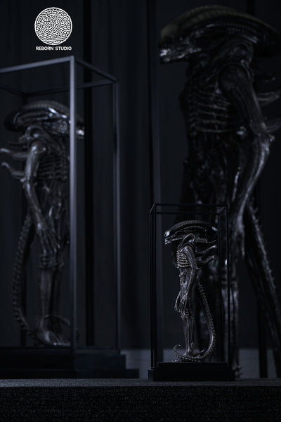 Alien - Xenomorph 1/8 Scale Statue by Reborn Studio