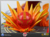 Bakugan - Drago & Dan 1/10 Scale Diorama