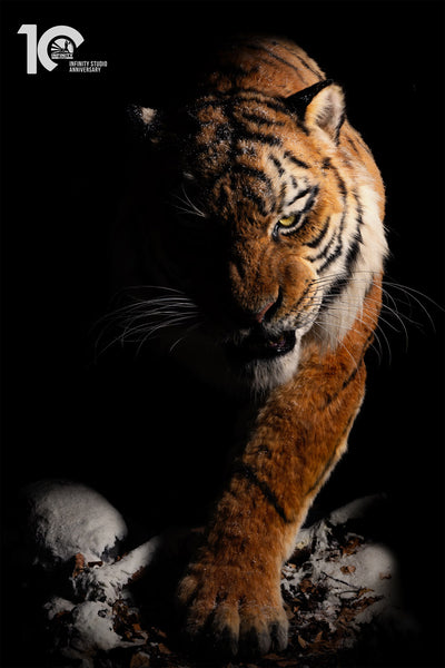 Siberian Tiger Museum-Level Life-Size Replica