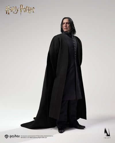 Harry Potter - Severus Snape InArt 1/6 Scale Figure