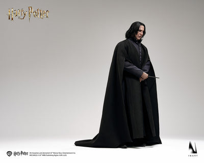 Harry Potter - Severus Snape InArt 1/6 Scale Figure