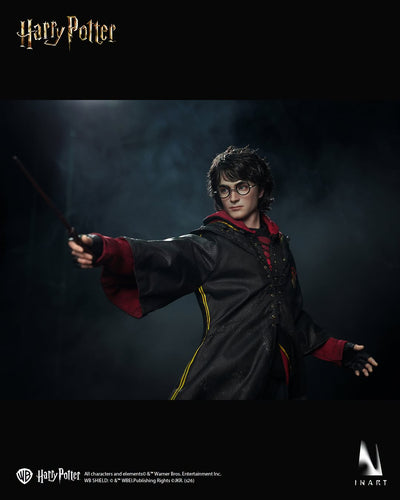 Harry Potter and the Goblet of Fire - Harry Potter 1/6 Scale Figure
