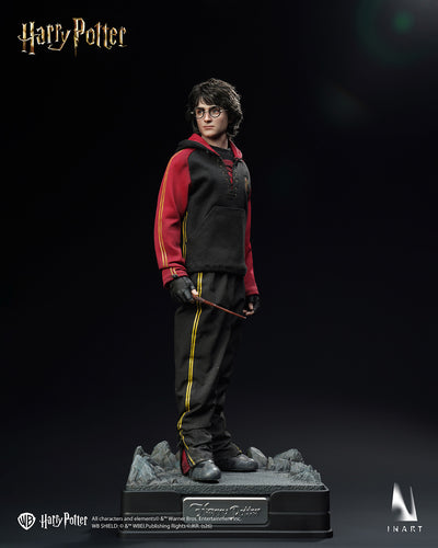 Harry Potter and the Goblet of Fire - Harry Potter Quidditch Uniform InArt 1/6 Scale Figure