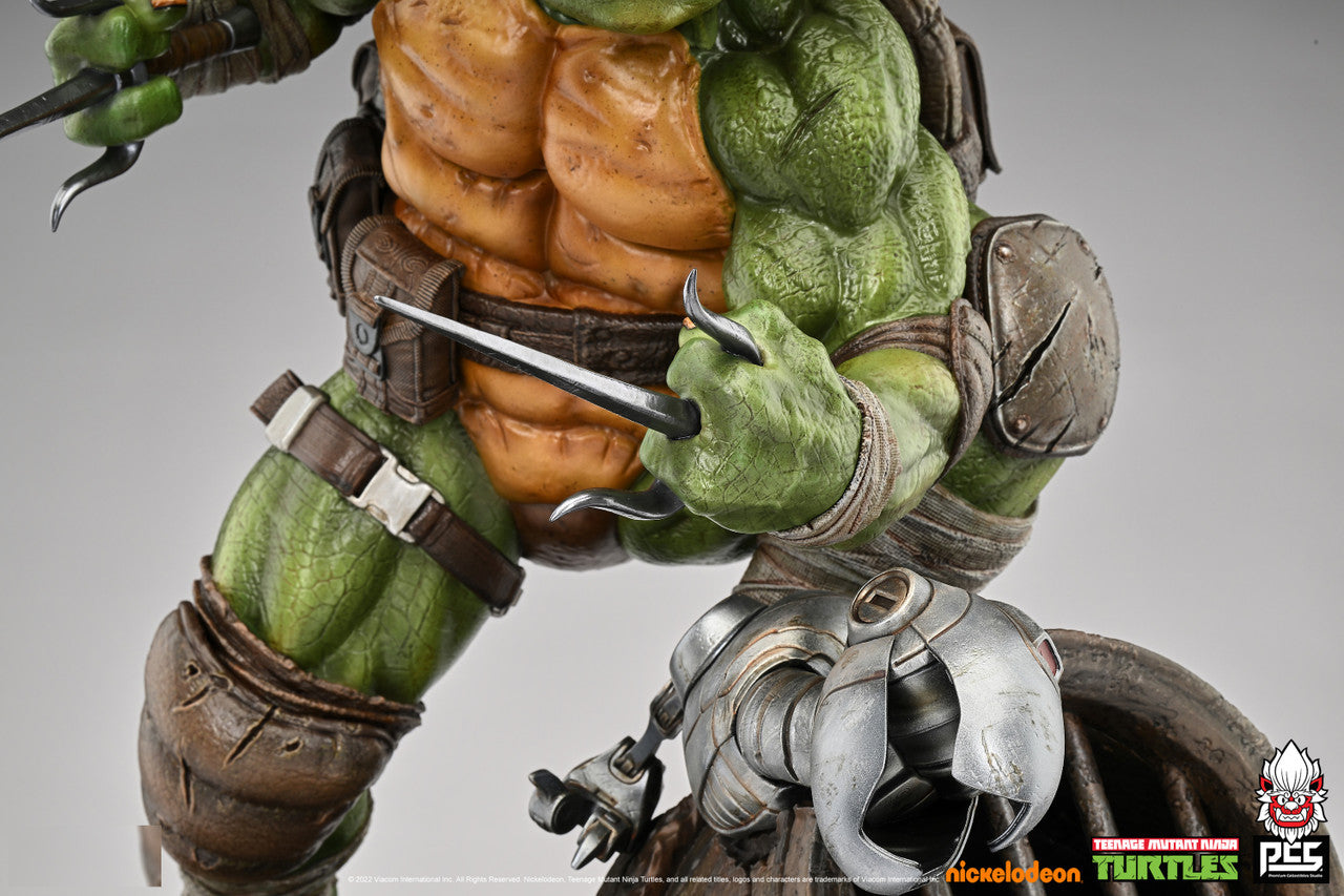 Tmnt Bottom Raph Raph Tmnt 2022