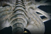 Facehugger Stasis Chamber Life-Size Replica by Deep Tale
