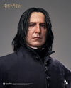 Harry Potter - Severus Snape InArt 1/6 Scale Figure