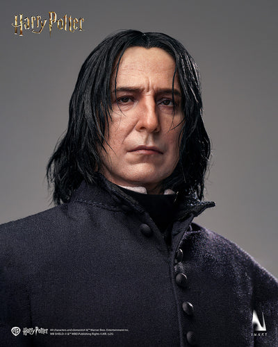 Harry Potter - Severus Snape InArt 1/6 Scale Figure