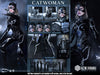 Batman Returns - Catwoman (DX Battle Damaged) 1/6 Scale Figure
