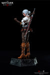 The Witcher 3: Wild Hunt - Ciri of Cintra 1/6 Scale Figure