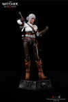 The Witcher 3: Wild Hunt - Ciri of Cintra 1/6 Scale Figure