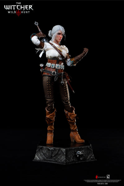 The Witcher 3: Wild Hunt - Ciri of Cintra 1/6 Scale Figure