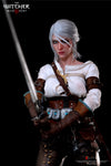 The Witcher 3: Wild Hunt - Ciri of Cintra 1/6 Scale Figure