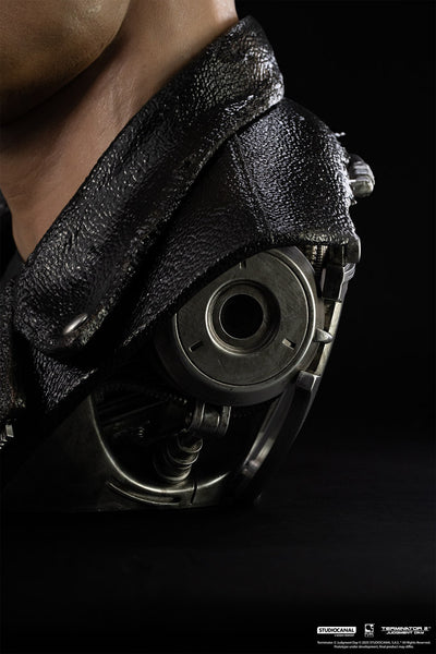 T-800 Model 101 Life-Size Art Mask