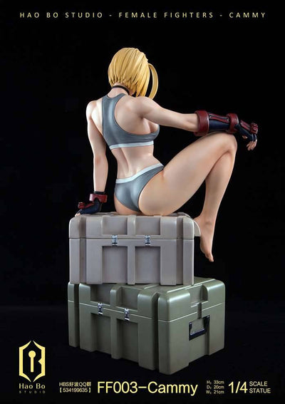 FF003 Cammy (Deluxe) 1/4 Scale Statue