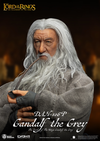 Gandalf the Grey DAH-106P Dynamic 8ction Heroes Figure