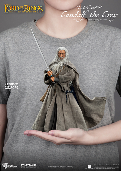 Gandalf the Grey DAH-106P Dynamic 8ction Heroes Figure