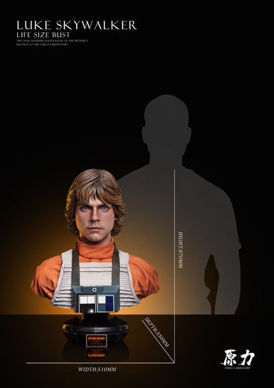 Luke Skywalker (Rebel Allegiance Flight Suit) Life-Size Bust