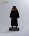 Harry Potter - Hermione Granger InArt 1/6 Scale Figure