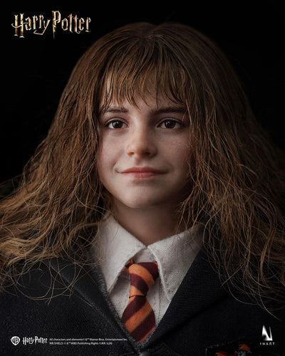 Harry Potter - Hermione Granger InArt 1/6 Scale Figure